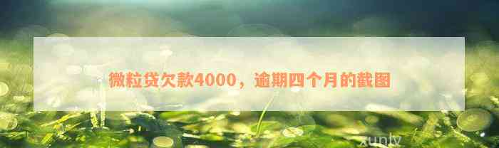 微粒贷欠款4000，逾期四个月的截图