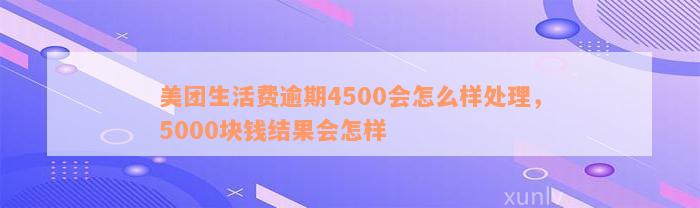 美团生活费逾期4500会怎么样处理，5000块钱结果会怎样