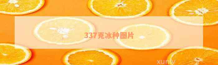 337克冰种图片