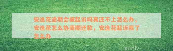 安逸花逾期会被起诉吗真还不上怎么办，安逸花怎么协商期还款，安逸花起诉我了怎么办