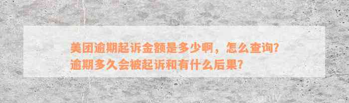 美团逾期起诉金额是多少啊，怎么查询？逾期多久会被起诉和有什么后果？