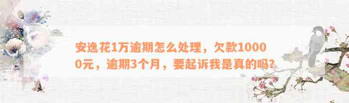 安逸花1万逾期怎么处理，欠款10000元，逾期3个月，要起诉我是真的吗？