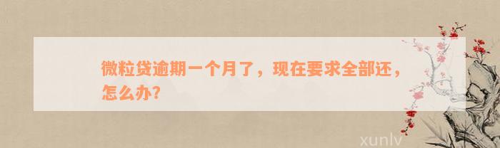 微粒贷逾期一个月了，现在要求全部还，怎么办？