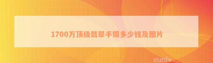 1700万顶级翡翠手镯多少钱及图片