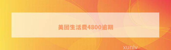 美团生活费4800逾期