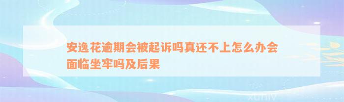 安逸花逾期会被起诉吗真还不上怎么办会面临坐牢吗及后果