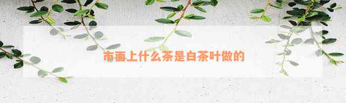 市面上什么茶是白茶叶做的