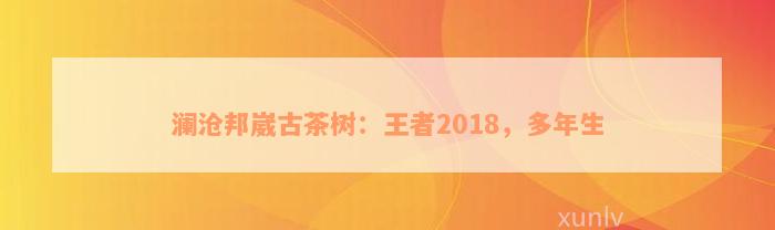 澜沧邦崴古茶树：王者2018，多年生