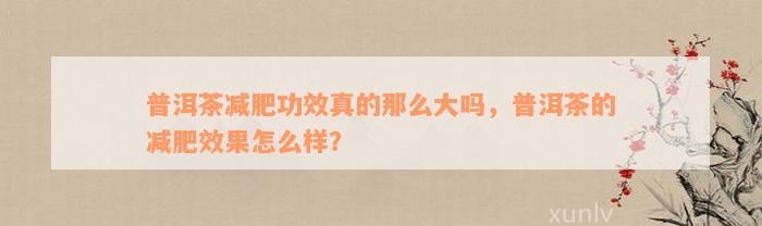 普洱茶减肥功效真的那么大吗，普洱茶的减肥效果怎么样？