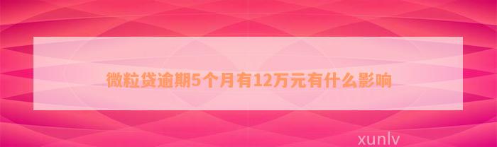 微粒贷逾期5个月有12万元有什么影响