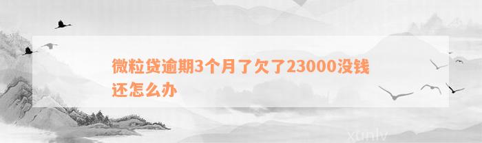 微粒贷逾期3个月了欠了23000没钱还怎么办