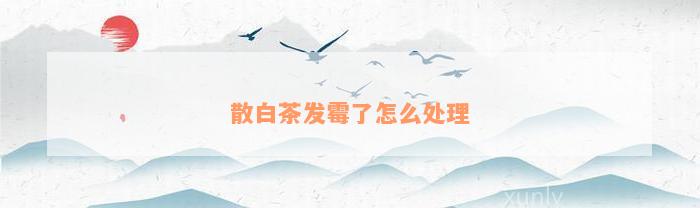 散白茶发霉了怎么处理