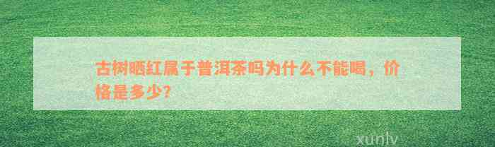 古树晒红属于普洱茶吗为什么不能喝，价格是多少？