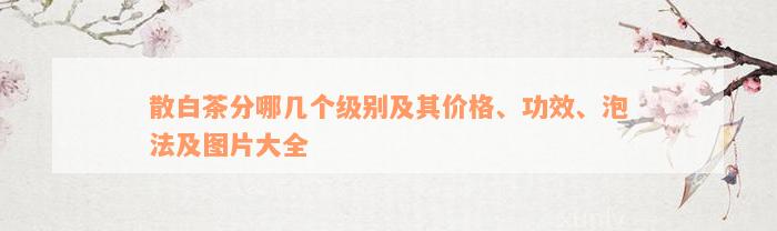 散白茶分哪几个级别及其价格、功效、泡法及图片大全