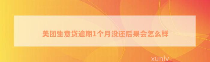 美团生意贷逾期1个月没还后果会怎么样