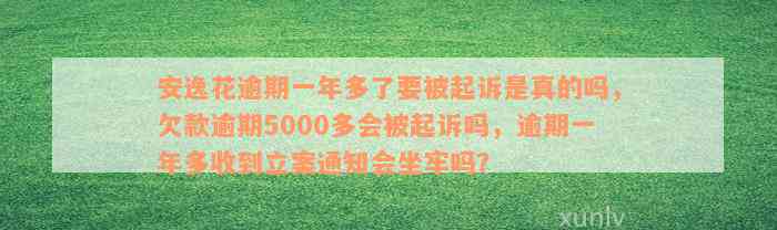 安逸花逾期一年多了要被起诉是真的吗，欠款逾期5000多会被起诉吗，逾期一年多收到立案通知会坐牢吗？