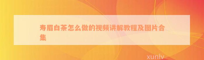 寿眉白茶怎么做的视频讲解教程及图片合集