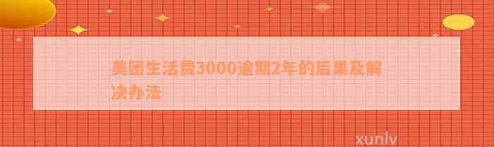 美团生活费3000逾期2年的后果及解决办法