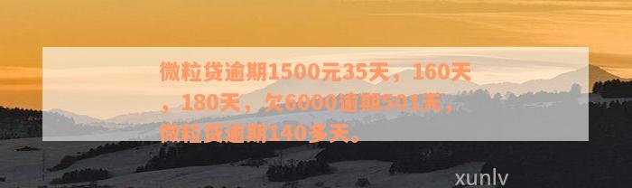 微粒贷逾期1500元35天，160天，180天，欠6000逾期501天，微粒贷逾期140多天。