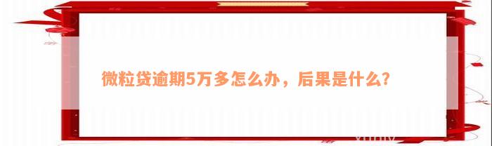 微粒贷逾期5万多怎么办，后果是什么？