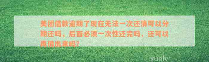 美团借款逾期了现在无法一次还清可以分期还吗，后面必须一次性还完吗，还可以再借出来吗？