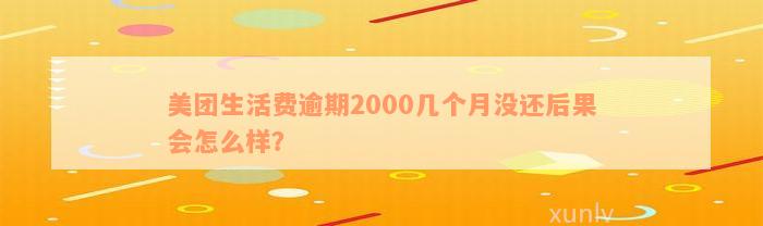 美团生活费逾期2000几个月没还后果会怎么样？