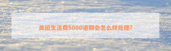 美团生活费5000逾期会怎么样处理?