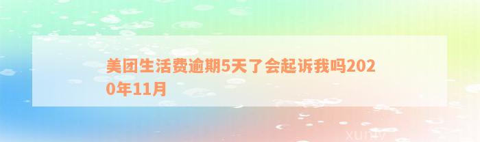 美团生活费逾期5天了会起诉我吗2020年11月