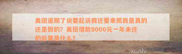 美团逾期了说要起诉我还要来抓我是真的还是假的？美团借款8000元一年未还的后果是什么？