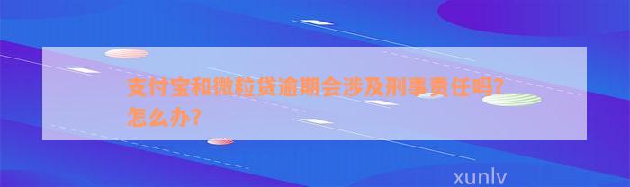 支付宝和微粒贷逾期会涉及刑事责任吗？怎么办？