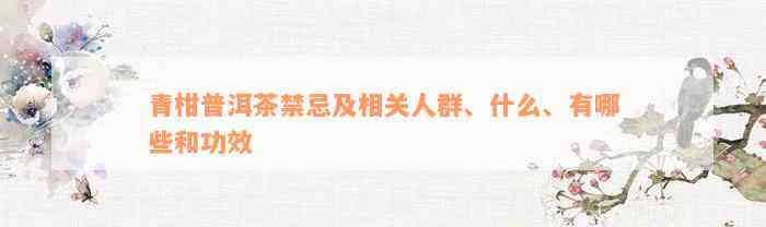 青柑普洱茶禁忌及相关人群、什么、有哪些和功效