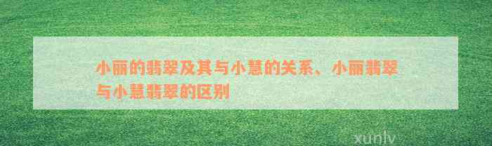 小丽的翡翠及其与小慧的关系、小丽翡翠与小慧翡翠的区别