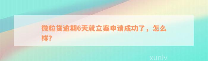 微粒贷逾期6天就立案申请成功了，怎么样？