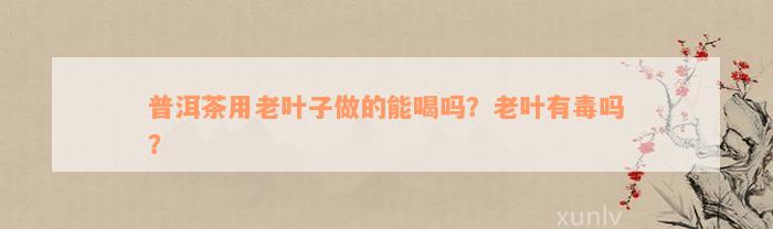 普洱茶用老叶子做的能喝吗？老叶有毒吗？