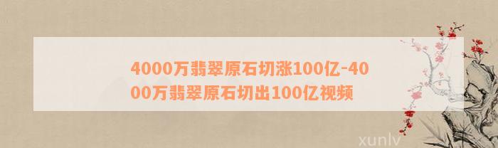 4000万翡翠原石切涨100亿-4000万翡翠原石切出100亿视频