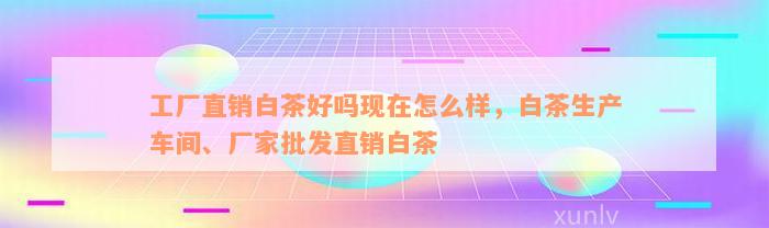 工厂直销白茶好吗现在怎么样，白茶生产车间、厂家批发直销白茶