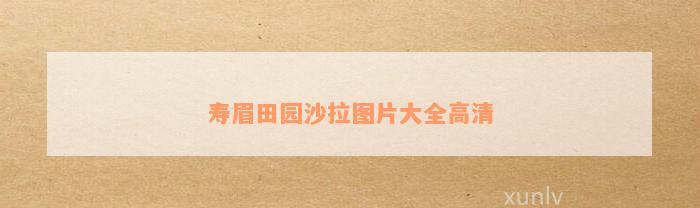 寿眉田园沙拉图片大全高清