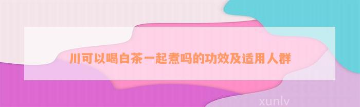 川可以喝白茶一起煮吗的功效及适用人群