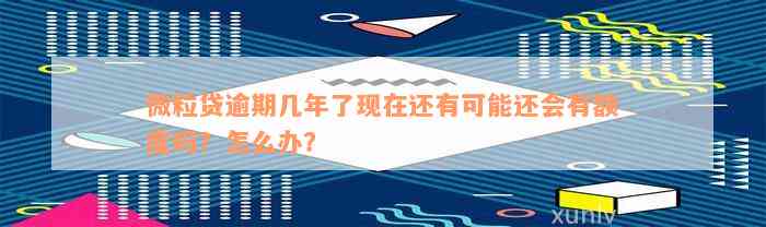 微粒贷逾期几年了现在还有可能还会有额度吗？怎么办？