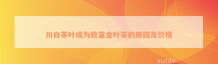 川白茶叶成为致富金叶茶的原因及价格