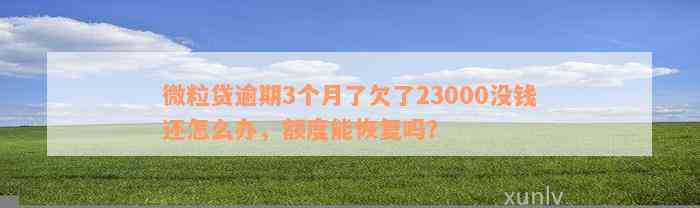 微粒贷逾期3个月了欠了23000没钱还怎么办，额度能恢复吗？