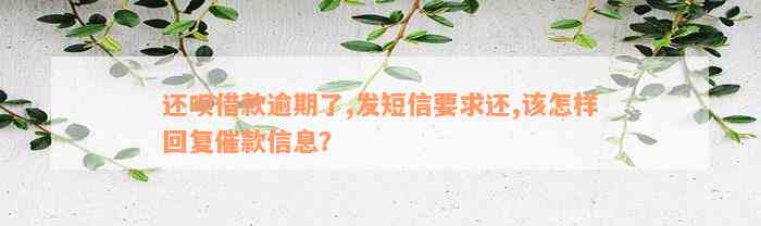 还款借款逾期了,发短信要求还,该怎样回复催款信息？