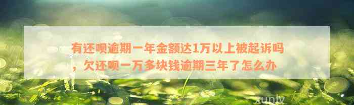 有还呗逾期一年金额达1万以上被起诉吗，欠还呗一万多块钱逾期三年了怎么办