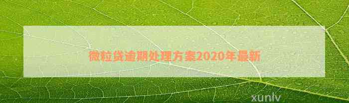 微粒贷逾期处理方案2020年最新