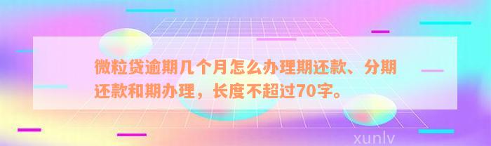 微粒贷逾期几个月怎么办理期还款、分期还款和期办理，长度不超过70字。