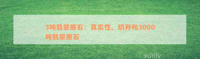 3吨翡翠原石：真实性、切开和3000吨翡翠原石