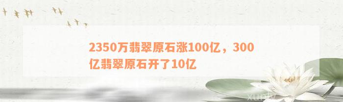 2350万翡翠原石涨100亿，300亿翡翠原石开了10亿