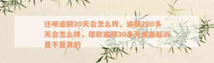 还呗逾期20天会怎么样，逾期200多天会怎么样，借款逾期30多天准备起诉是不是真的