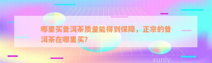 哪里买普洱茶质量能得到保障，正宗的普洱茶在哪里买？