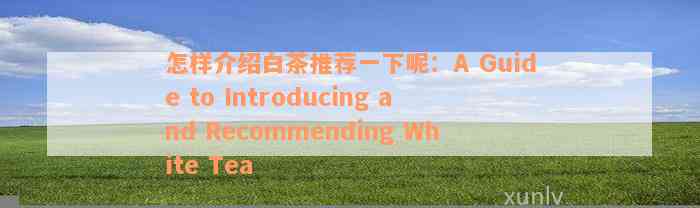 怎样介绍白茶推荐一下呢：A Guide to Introducing and Recommending White Tea